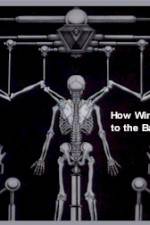 Watch How Wings Are Attached to the Backs of Angels M4uhd
