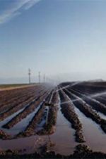 Watch El Valley Centro M4uhd