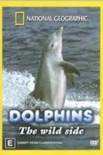 Watch Dolphins: The Wild Side M4uhd