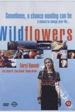 Watch Wildflowers M4uhd